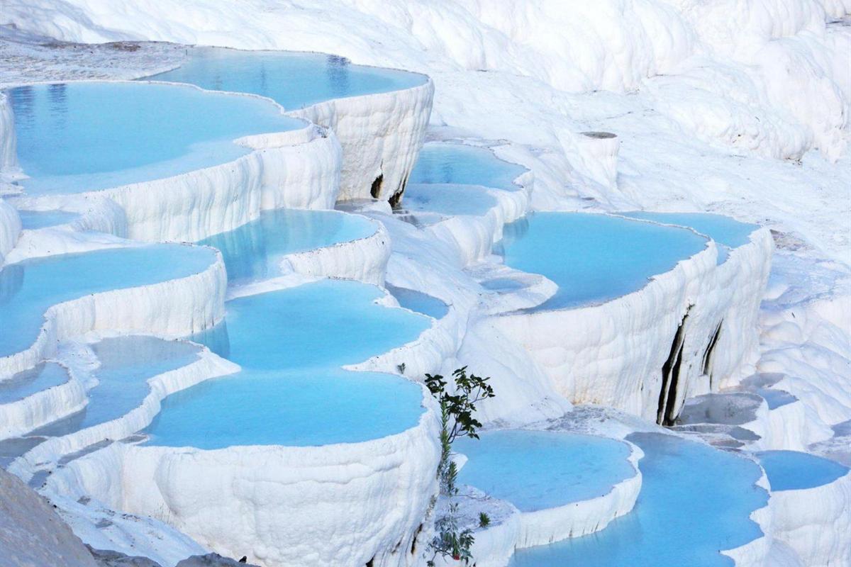 Travertine terraces with pale blue pools of water held by white rimmed stone basins stepping down a bright white slope, with a small green plant growing between the pools.