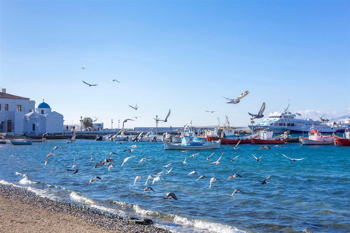 Greek islands and Turkey short cruise: a harbour with fishing boats and a ferry, a white chapel with a blue dome on the left and many seagulls flying over blue water