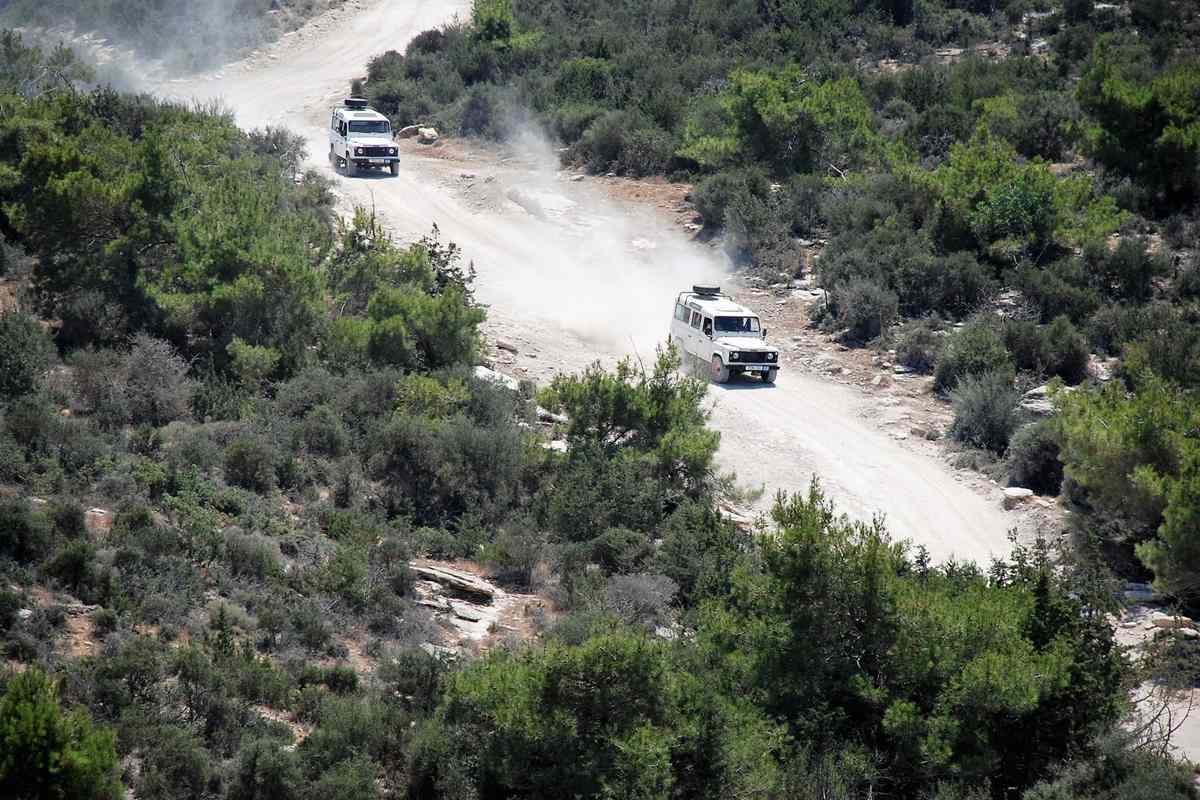 Akamas jeep safari: two white 4x4 off-road vehicles driving one behind the other along a pale dusty dirt track that winds through dense green pine and scrub on a hillside, with a cloud of dust rising behind them