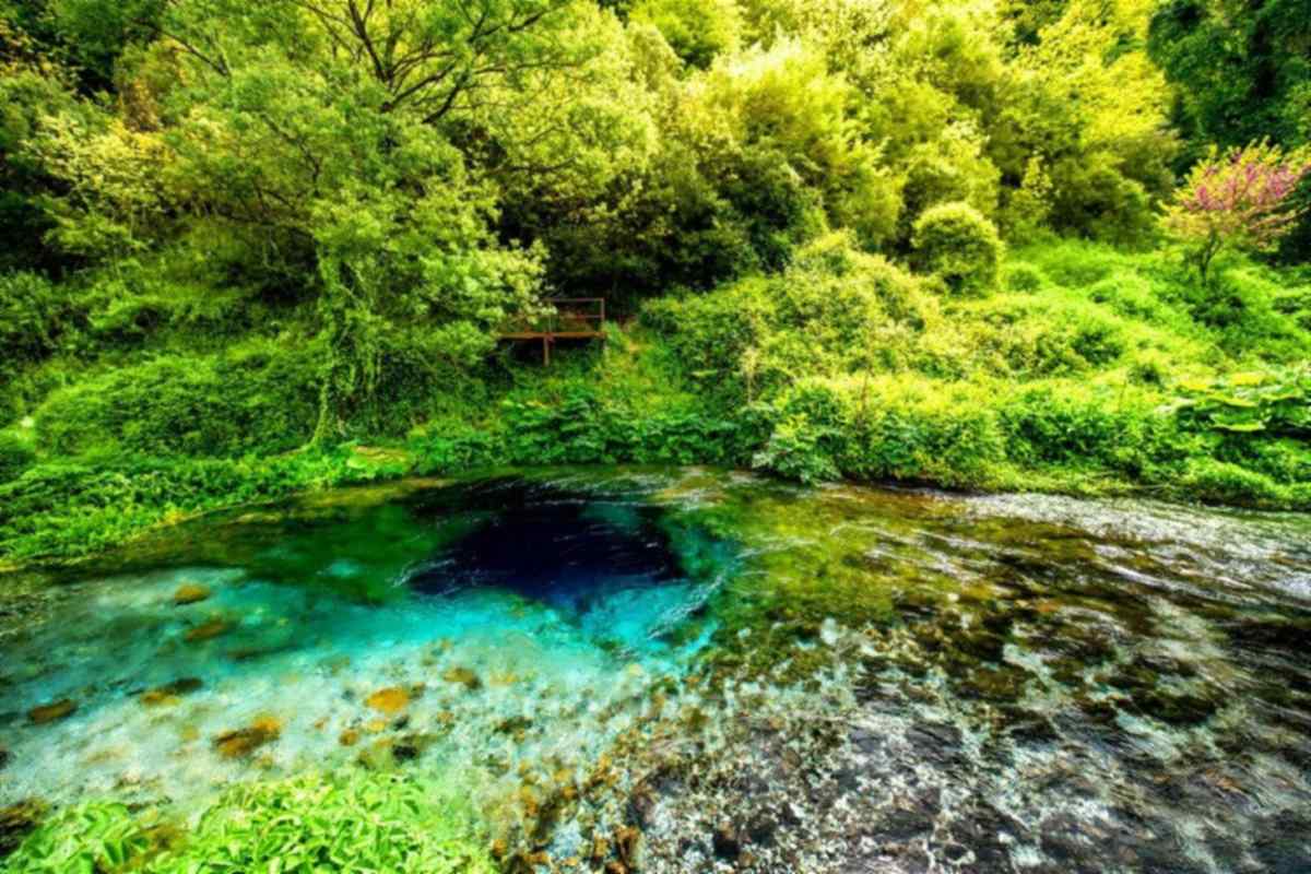 Corfu to Albania day trip: the Blue Eye spring in Albania, a deep blue water vent ringed by bright turquoise shallows and pebbles, with thick green trees, a small wooden viewing platform and a pink blossoming tree above the stream