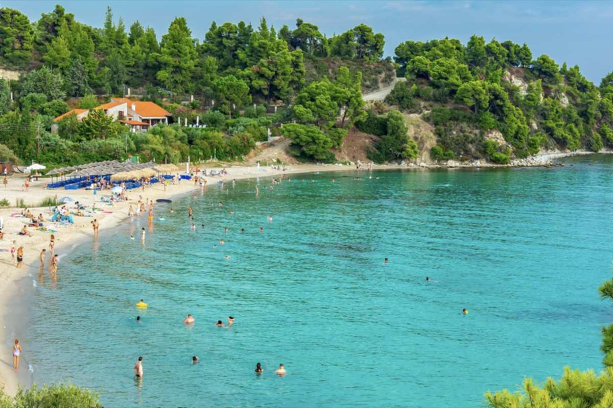 Halkidiki day trip from Thessaloniki: a curved sandy beach with straw sunshades and blue sun loungers on the left, calm turquoise water with distant swimmers, and a pine-covered headland with an orange-roofed house under a blue sky