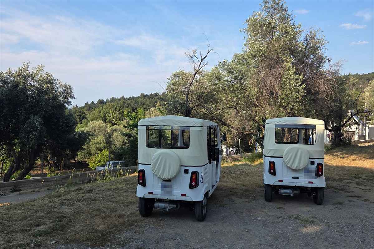 Kos tuk tuk tour: two white tuk tuks with cream canvas roofs and round spare-wheel covers parked side by side on a gravel track under olive trees, with a green wooded hillside and a pale blue sky behind