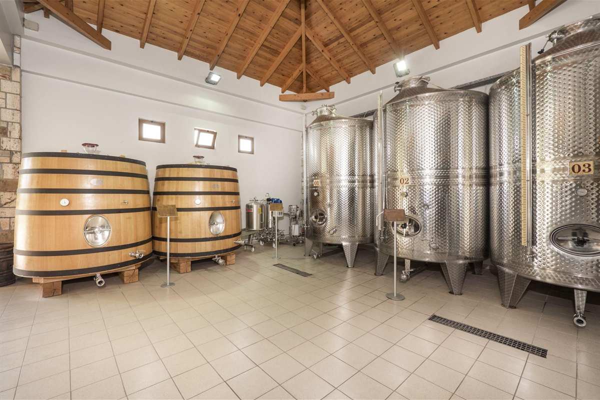 Kos wine tasting: a bright winery cellar with two large oak barrels with dark metal hoops beside three tall numbered stainless steel tanks, under a pitched wooden ceiling above a pale tiled floor