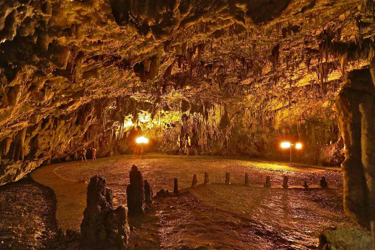 Melissani and Drogarati caves tour: the large chamber of Drogarati Cave lit in warm gold, with a ceiling full of hanging stalactites, a flat pebble floor with short stone columns and two bright lamps on the far wall