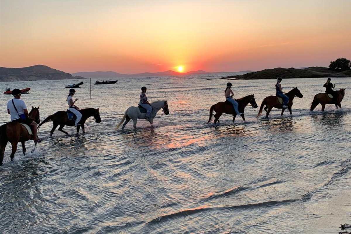 Naxos horse riding: a line of six riders in helmets on brown and white horses wading through shallow sea water at sunset, with the low orange sun over distant hills, small boats on the bay and a green headland on the right
