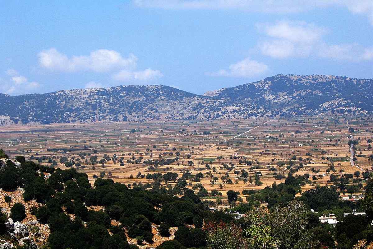 Zeus Cave Lasithi Plateau tour: a wide view over the Lasithi Plateau, a patchwork of dry brown fields and scattered trees below dark green ridges, with white houses at the lower right under a blue sky with soft clouds